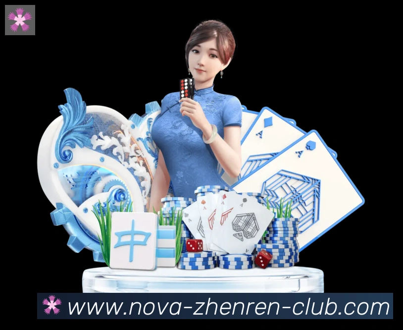 互动解说服务
